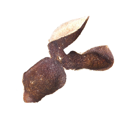雲南正宗午夜黄片直接看價格